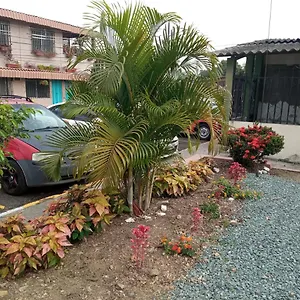 De Maria , Guayaquil Ecuador